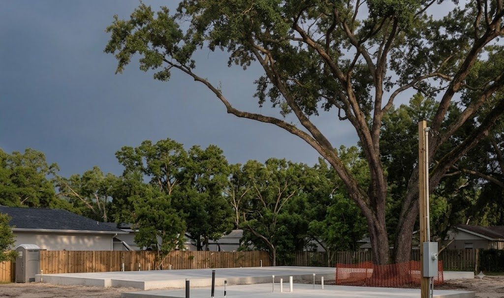 The finished concrete slab with plumbing stubs standing up through it, the oak still fenced at the edge of the pour