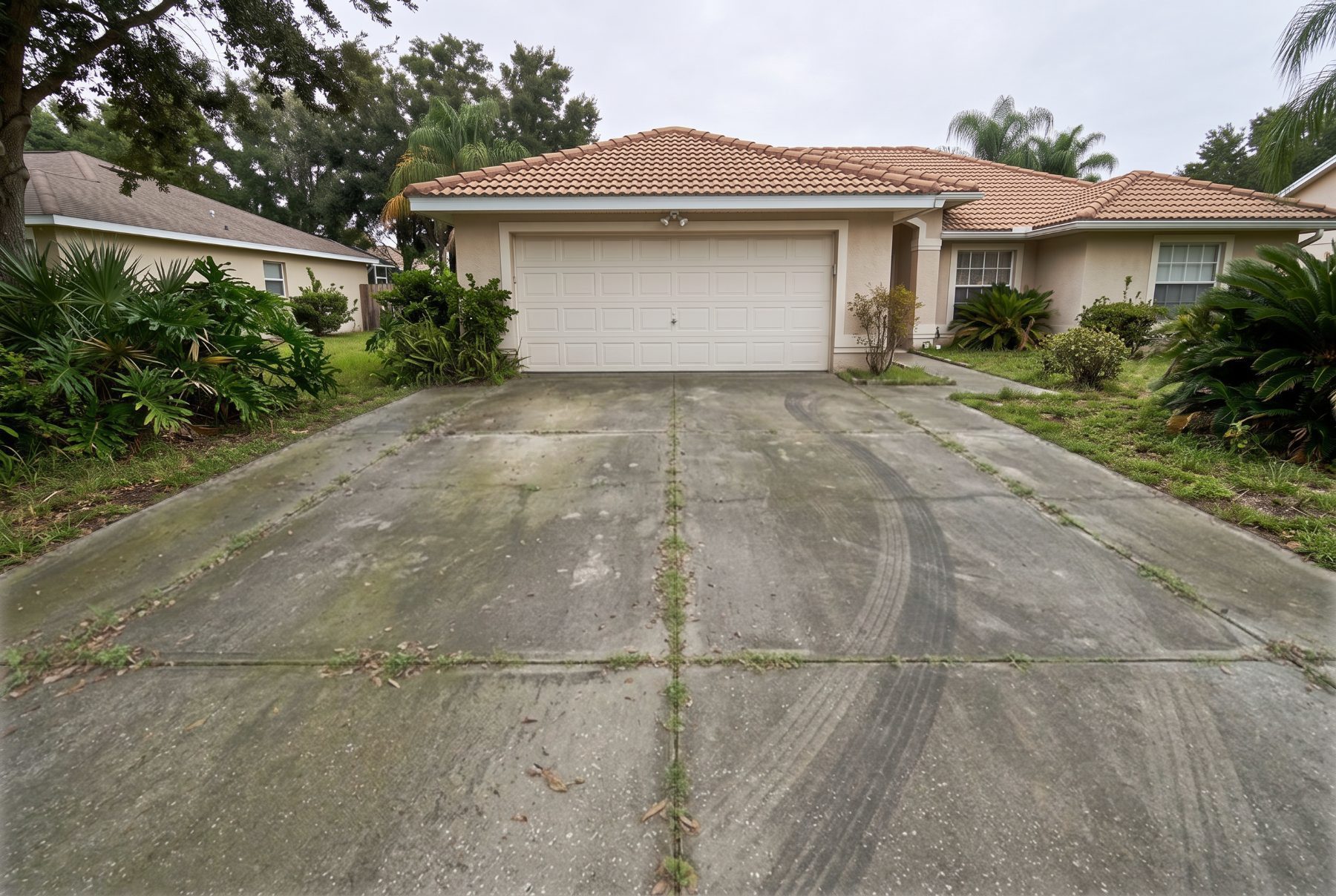 A stained Orlando driveway before washing, with green algae along the slab joints, dark tire tracks and weeds in the expansion cuts